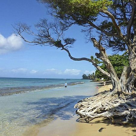 Polynesian Shores 118 Kahana Dış mekan fotoğraf